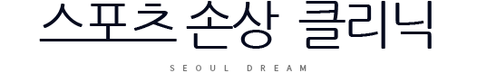 스포츠 손상