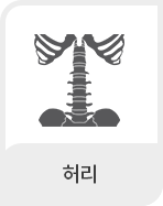 스포츠 손상 클리닉